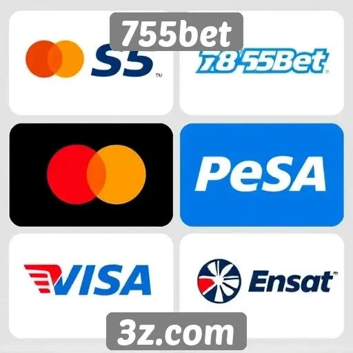 Opções de pagamento disponíveis na plataforma 755bet